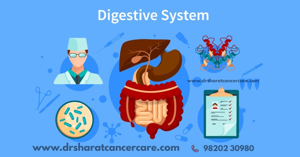 A simple animated infographic showing the digestive system and highlighting affected organs.